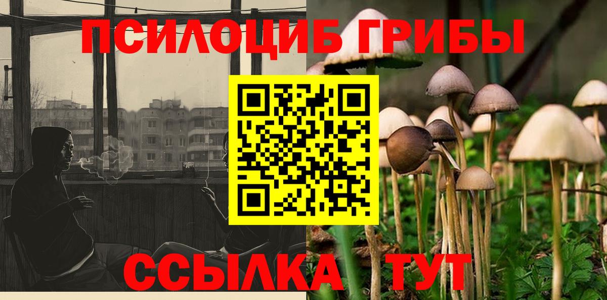 Галлюциногенные грибы MAGIC MUSHROOMS Мурманск