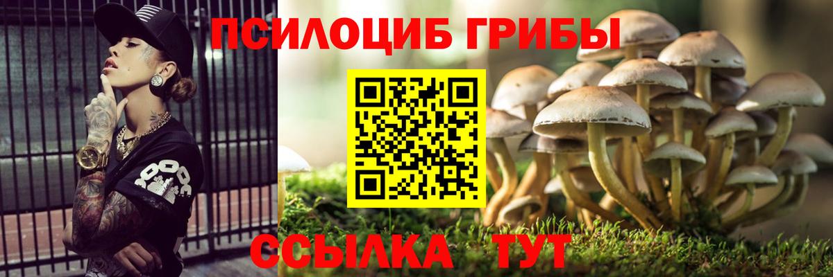 Мурманск  Псилоцибиновые грибы прущие грибы  магазин    Галлюциногенные грибы Cubensis  Вход с VPN 